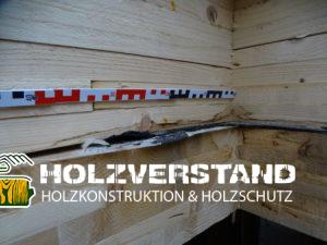 Holzschutzgutachten Berlin