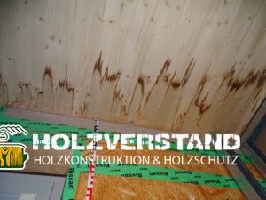 Holzschutzgutachten Berlin