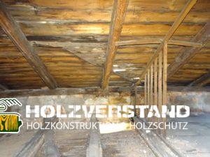 Holzschutzgutachten Dresden